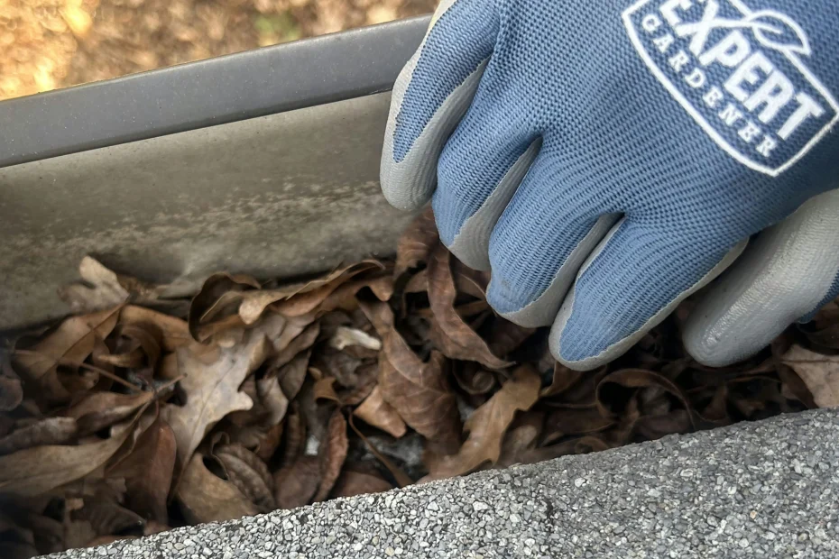 Sarasota Gutter Cleaning