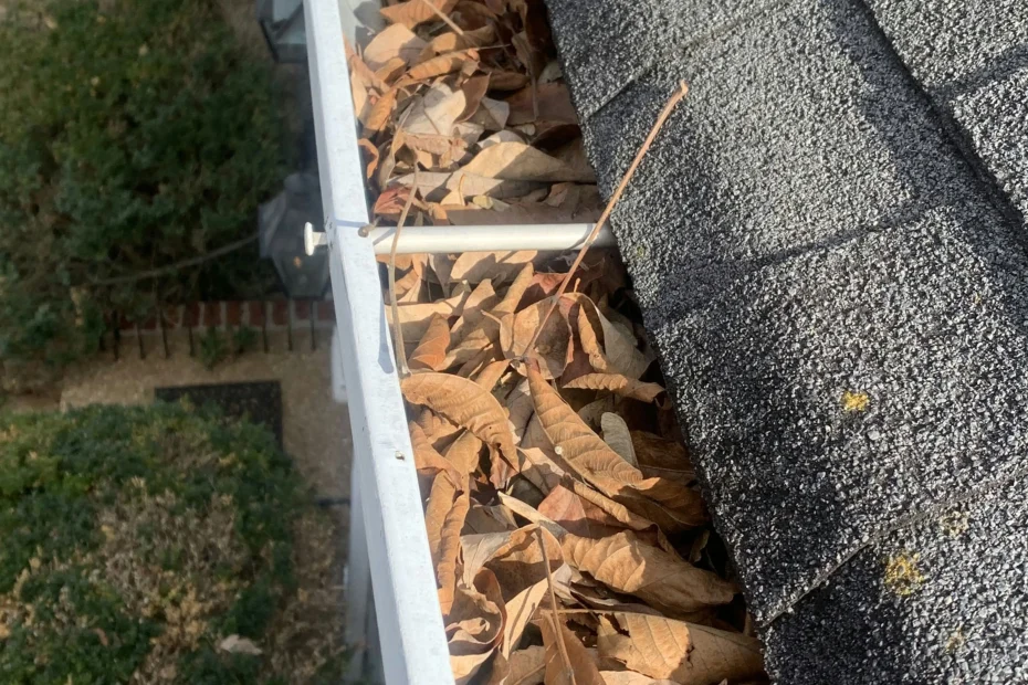 Sarasota Gutter Cleaning