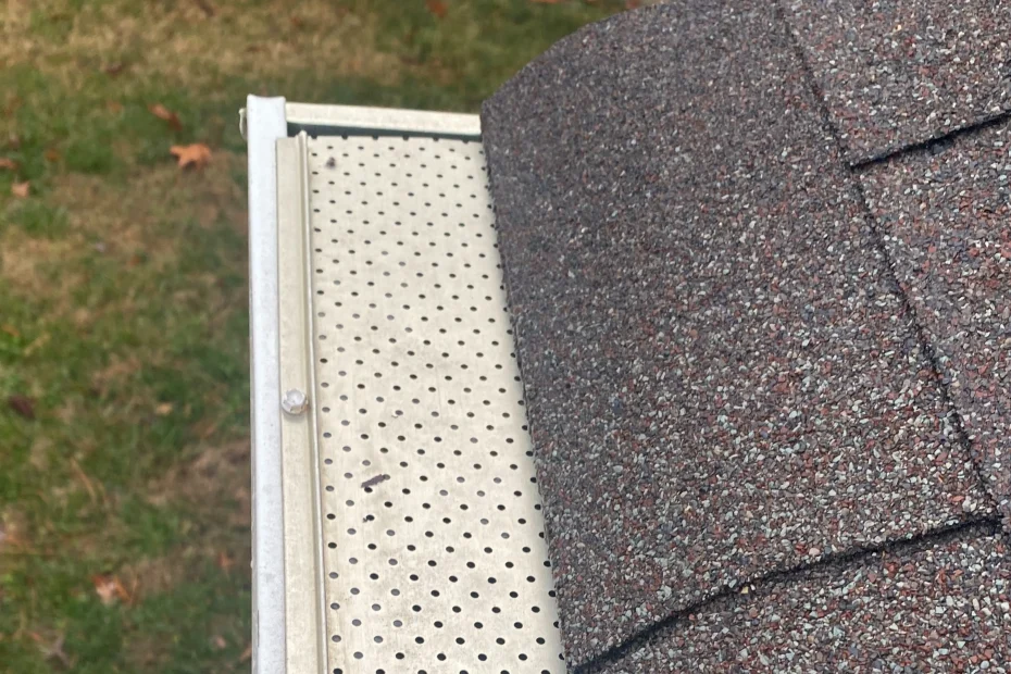 Sarasota Gutter Cleaning